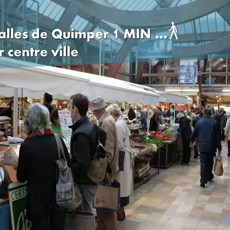Les Petrels By Nid'Ouest - Coeur De Ville Quimper Exterior photo
